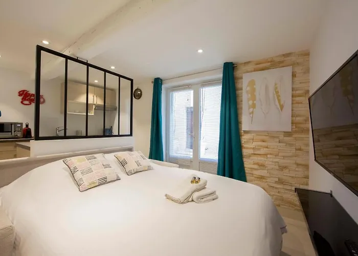 Brand-new Atypical In Rue Fourmilliere Apartment