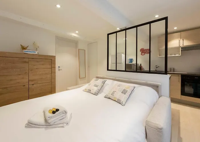 Brand-new Atypical In Rue Fourmillière Appartement *